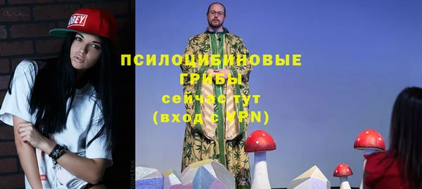 героин Алексин