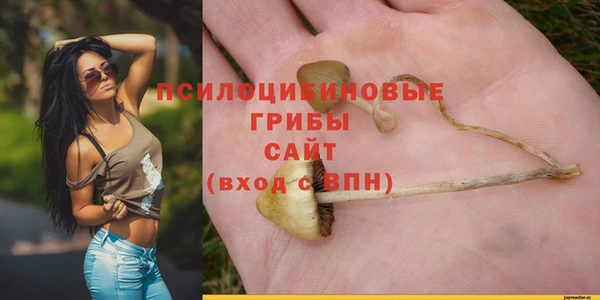 героин Алексин