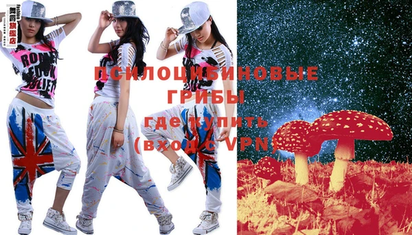 МДПВ Алексеевка