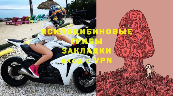 героин Алексин