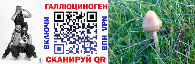 хочу наркоту  Первоуральск  Галлюциногенные грибы Cubensis 